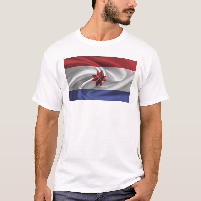 Flagga Mordovia T Shirt (Framsida)