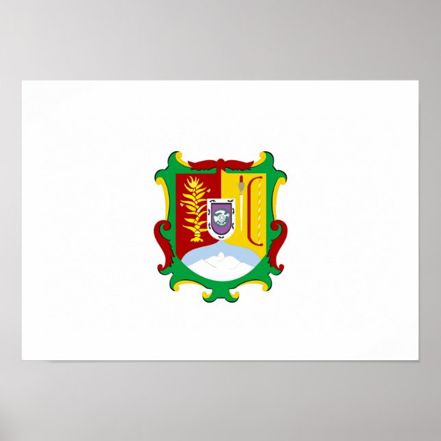 Flagga Nayarit Poster (Framsidan)