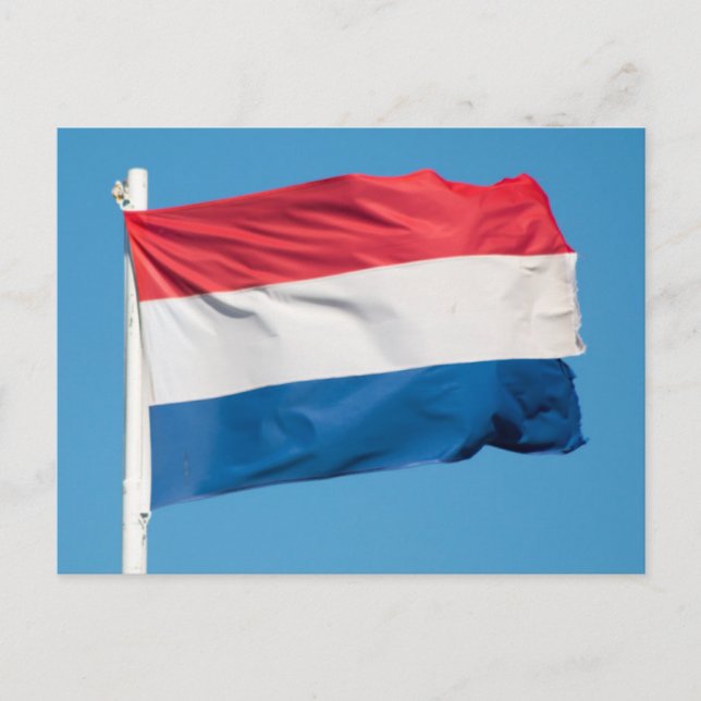 Flagga Nederländerna Vykort (Framsida)