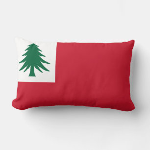 Flagga New England Lumbarkudde