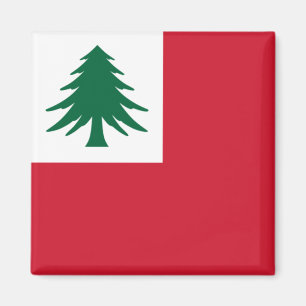 Flagga New England Magnet