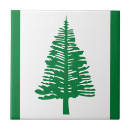 Flagga Norfolk Island Ceramic Tile Kakelplatta