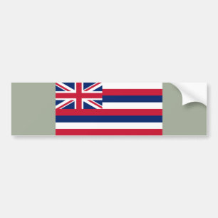 Flagga of Hawaii (USA) Bildekal