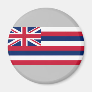 Flagga of Hawaii (USA) Magnet