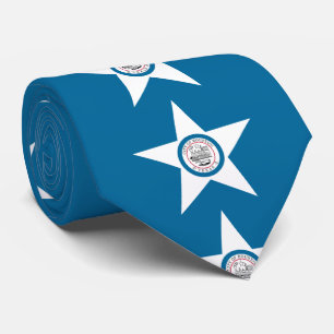 Flagga of Houston, Texas Neck Tie Slips