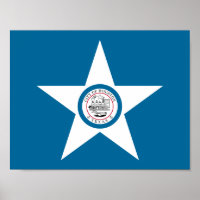 Flagga of Houston, Texas Poster