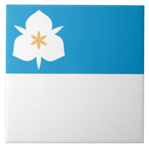 Flagga of Salt Sjö City (Utah) Kakelplatta