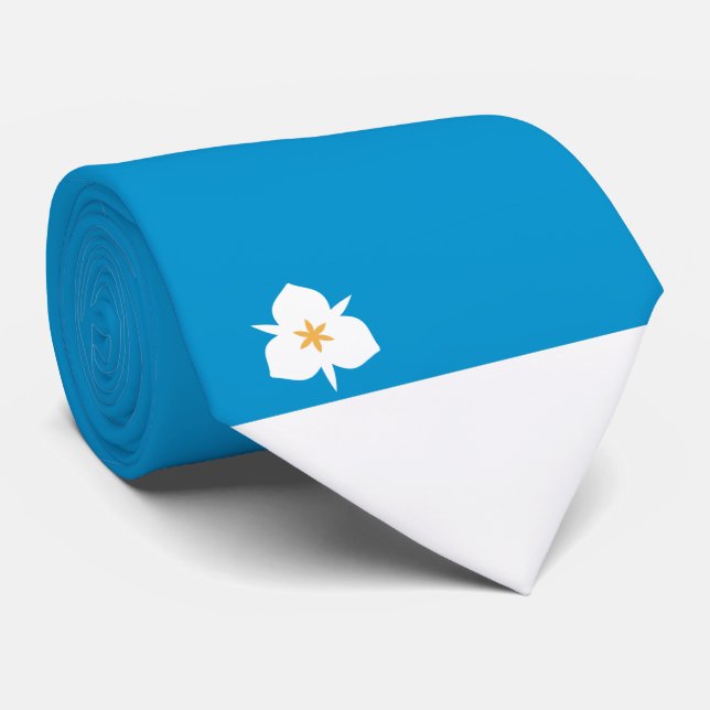 Flagga of Salt Sjö City (Utah) Slips (Rullad)