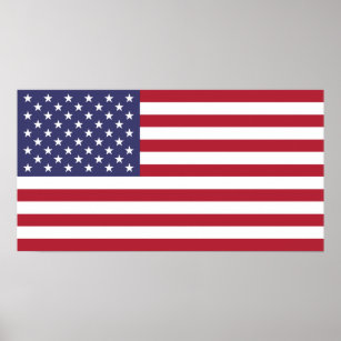 Flagga of the United States Small Poster