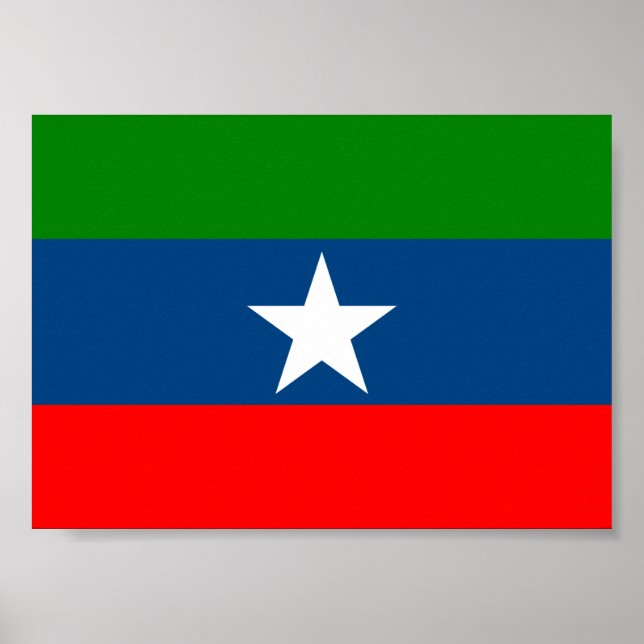 Flagga Ogaden Poster (Framsidan)