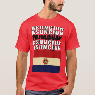 Flagga Paraguay T Shirt