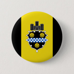 Flagga Pittsburgh, Pennsylvania Pinback-knappen Knapp