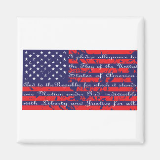 Flagga-pledge Magnet