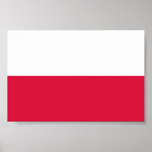 Flagga Polen Poster
