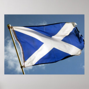 flagga poster