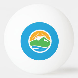 Flagga Provo, Utah Pingisboll