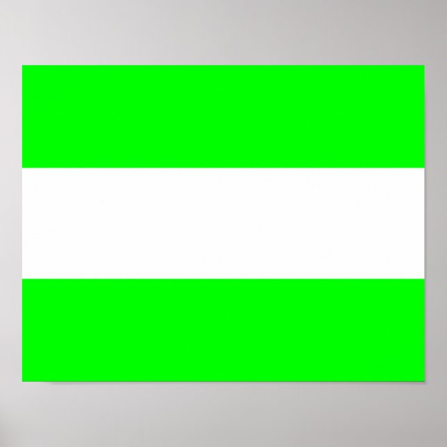 Flagga Rotterdam Poster (Framsidan)