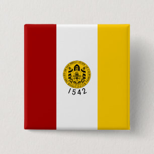 Flagga San Diego (Kalifornien) Knapp