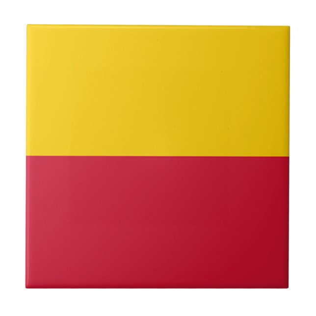 Flagga Schagen Kakelplatta (Framsidan)