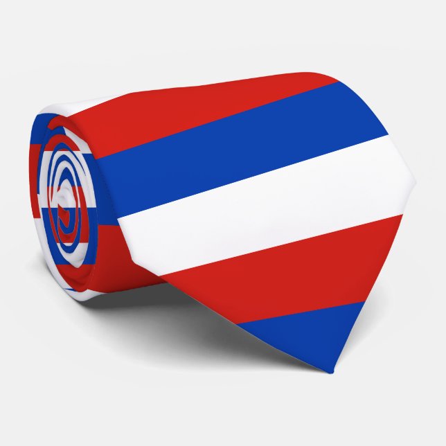 Flagga Schleswig-Holstein Tie Slips (Rullad)