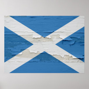 Flagga Scotland Weasted Poster