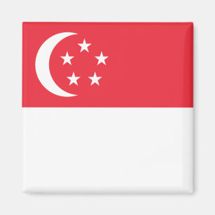 Flagga Singapore Magnet