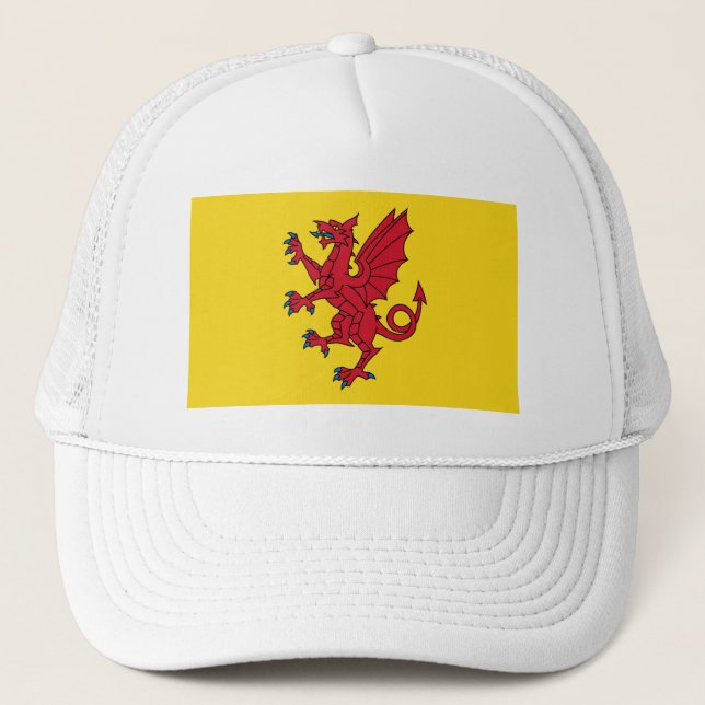 Flagga Somerset Hat Keps (Framsida)