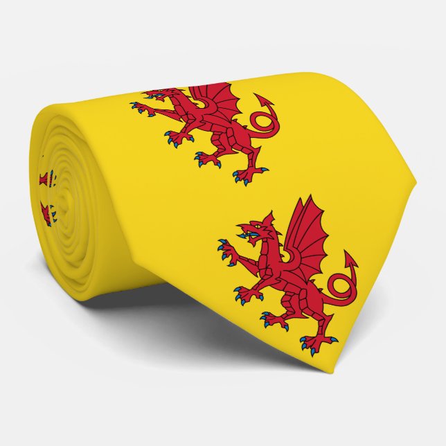 Flagga Somerset Slips (Rullad)