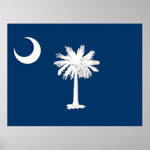 Flagga South Carolina Poster