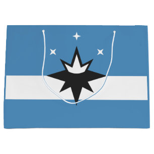 Flagga Springfield, Missouri