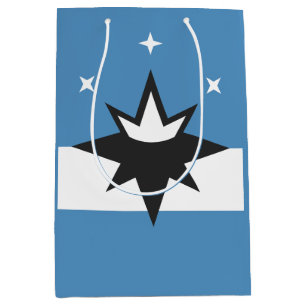 Flagga Springfield, Missouri