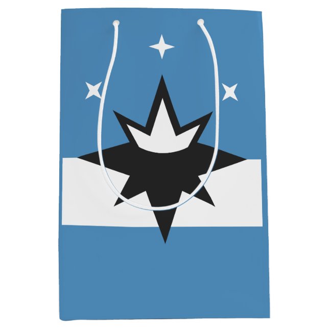 Flagga Springfield, Missouri (Framsidan)