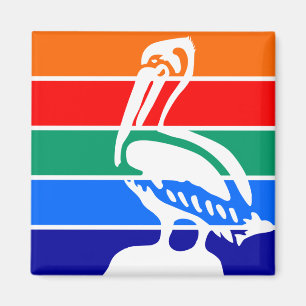 Flagga St. Petersburg (Florida) Magnet