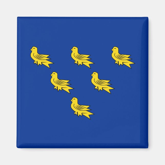 Flagga Sussex Magnet (Framsidan)