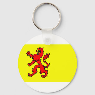 Flagga Sydholland Nyckelring