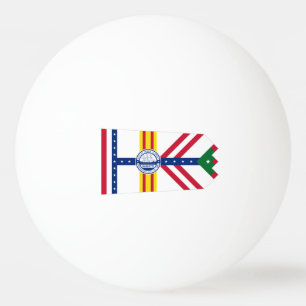 Flagga Tampa, Florida Ping Pong Boll