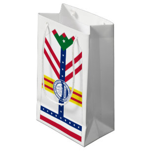 Flagga Tampa, Florida Small Gift Bag