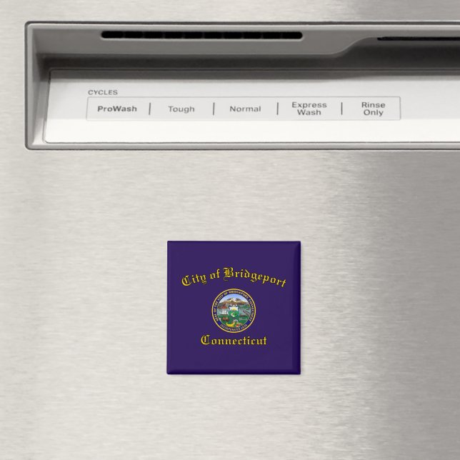 Flagga till Bridgeport, Connecticut Magnet (In Situ (Dishwasher))