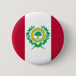 Flagga till Raleigh, North Carolina Pinback Button Knapp