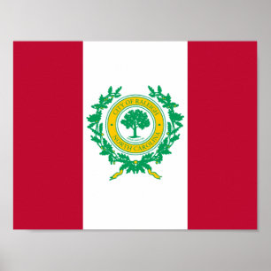 Flagga till Raleigh, North Carolina Poster
