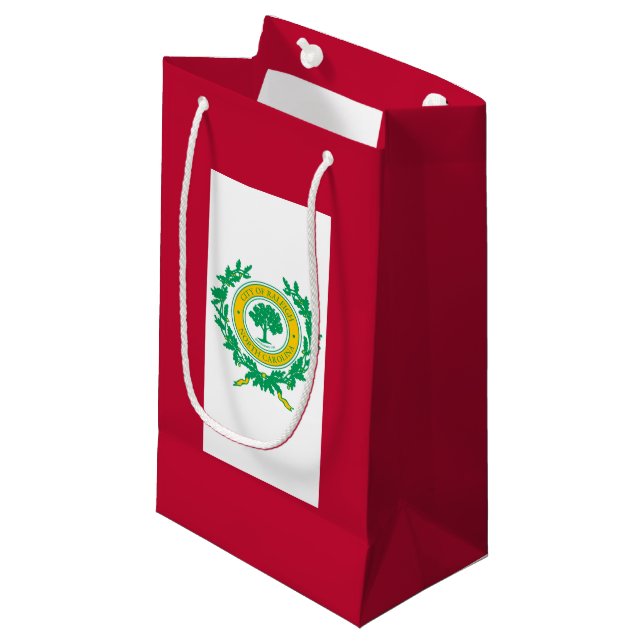 Flagga till Raleigh, North Carolina Small Gift Bag (Framsidan Vinklad)