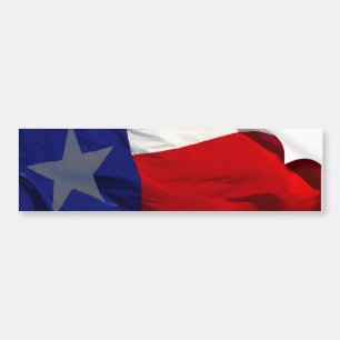 Flagga till Texas Pop Art Bildekal