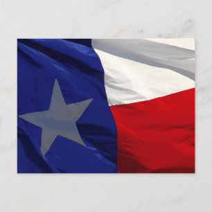 Flagga till Texas Pop Art Vykort