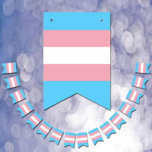 Flagga Transgender Flagga & Pride community /gende