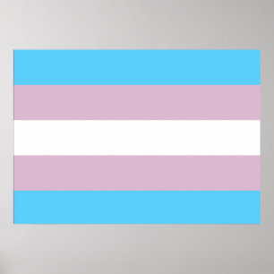 Flagga Transgender Pride Poster
