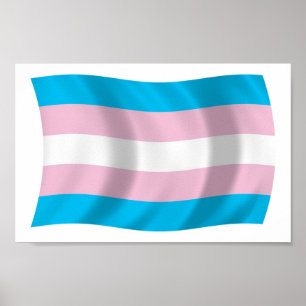 Flagga Transgender Pride Poster Skriv ut