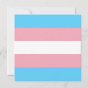 Flagga TransgenPride