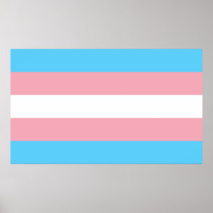 Flagga TransgenPride Poster