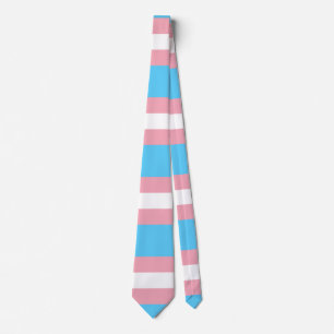 Flagga TransgenPride Slips