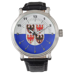 Flagga Trentino Alto Adige (Italien) Armbandsur